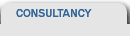 classic IT consultancy