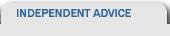 independent IT advice